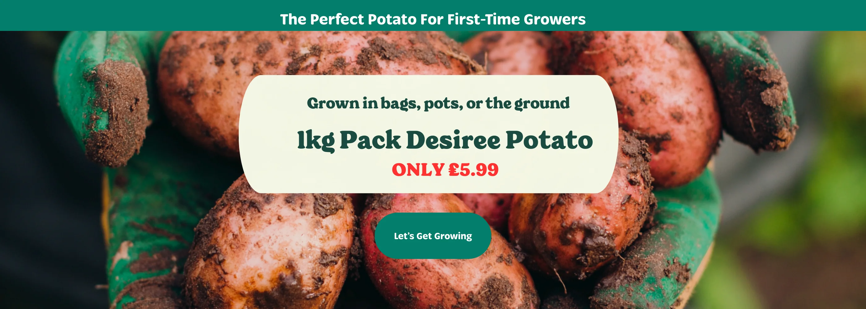 Bring Your Garden to Life