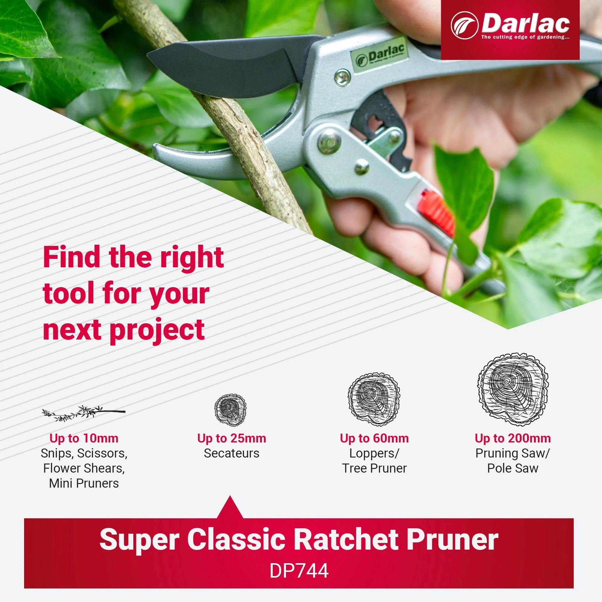 Darlac Super Classic Ratchet - Image 6