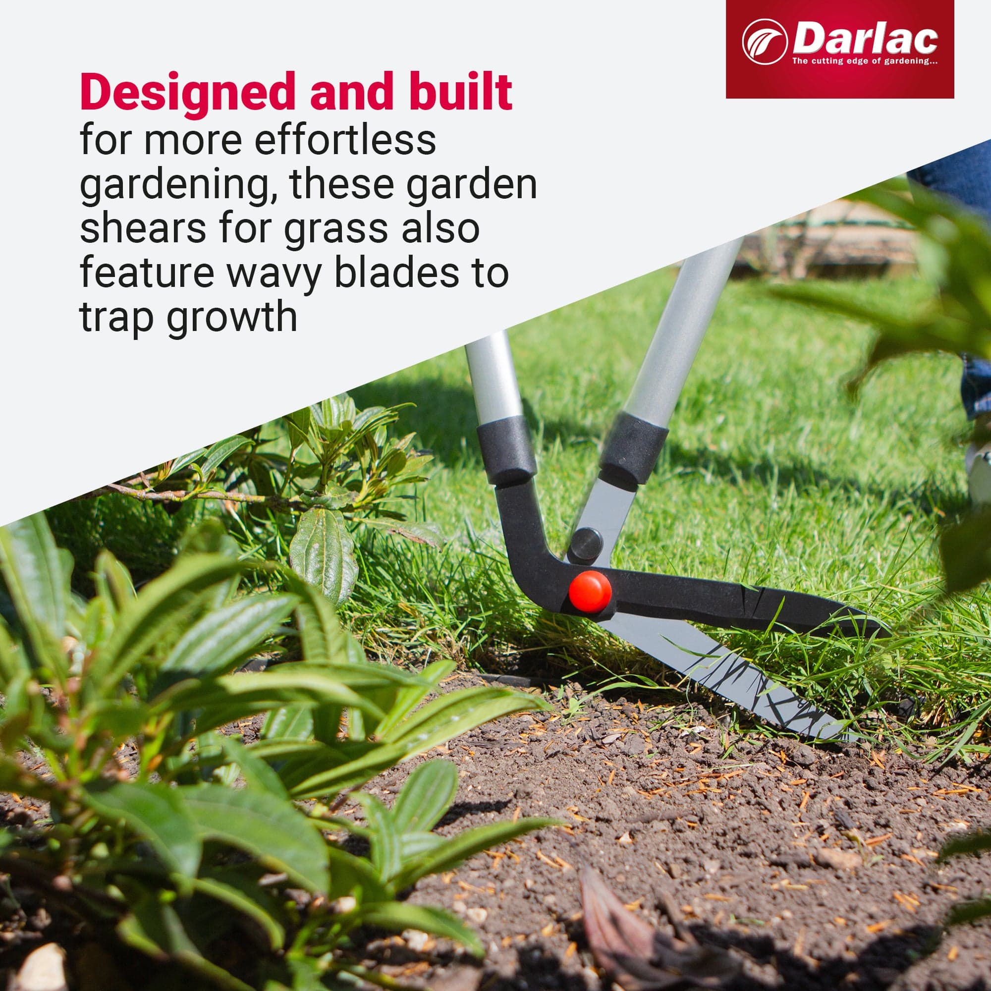 Darlac Edging Shear - Image 4