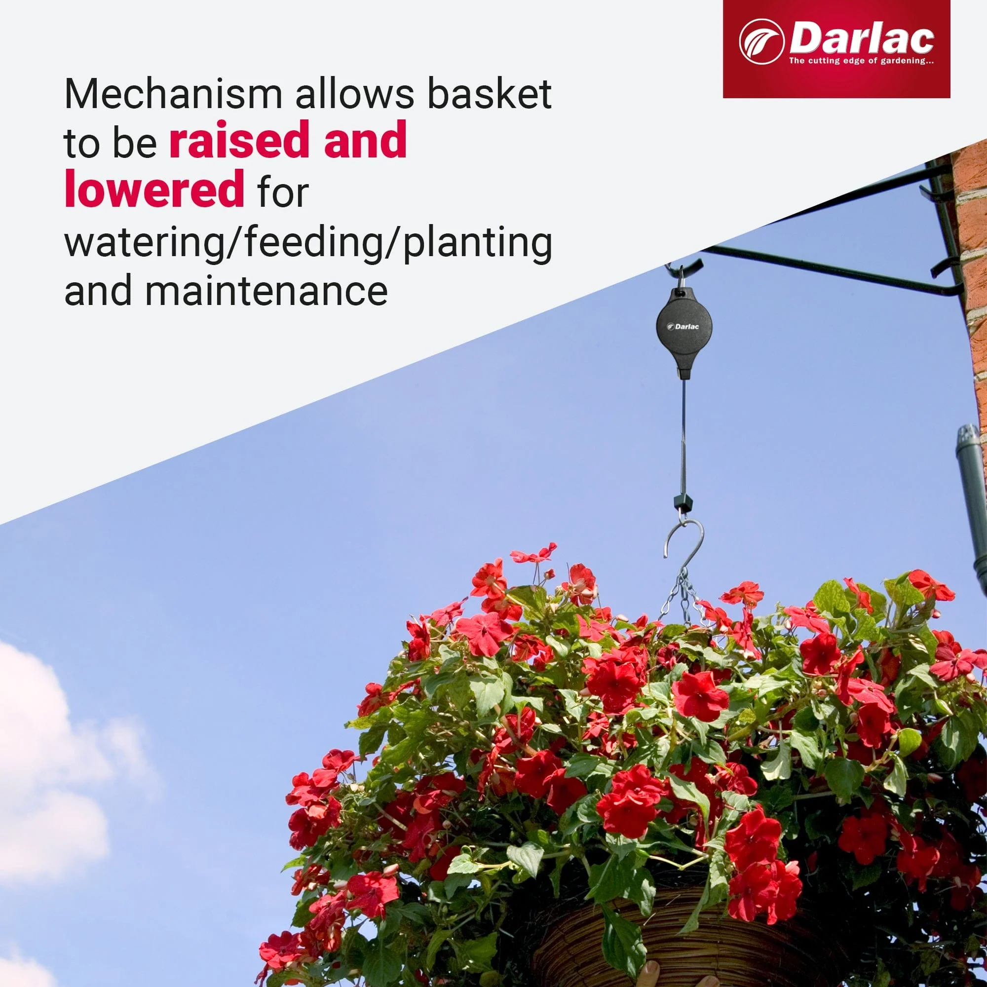 Darlac Hi-Lo For Hanging Baskets - Image 4
