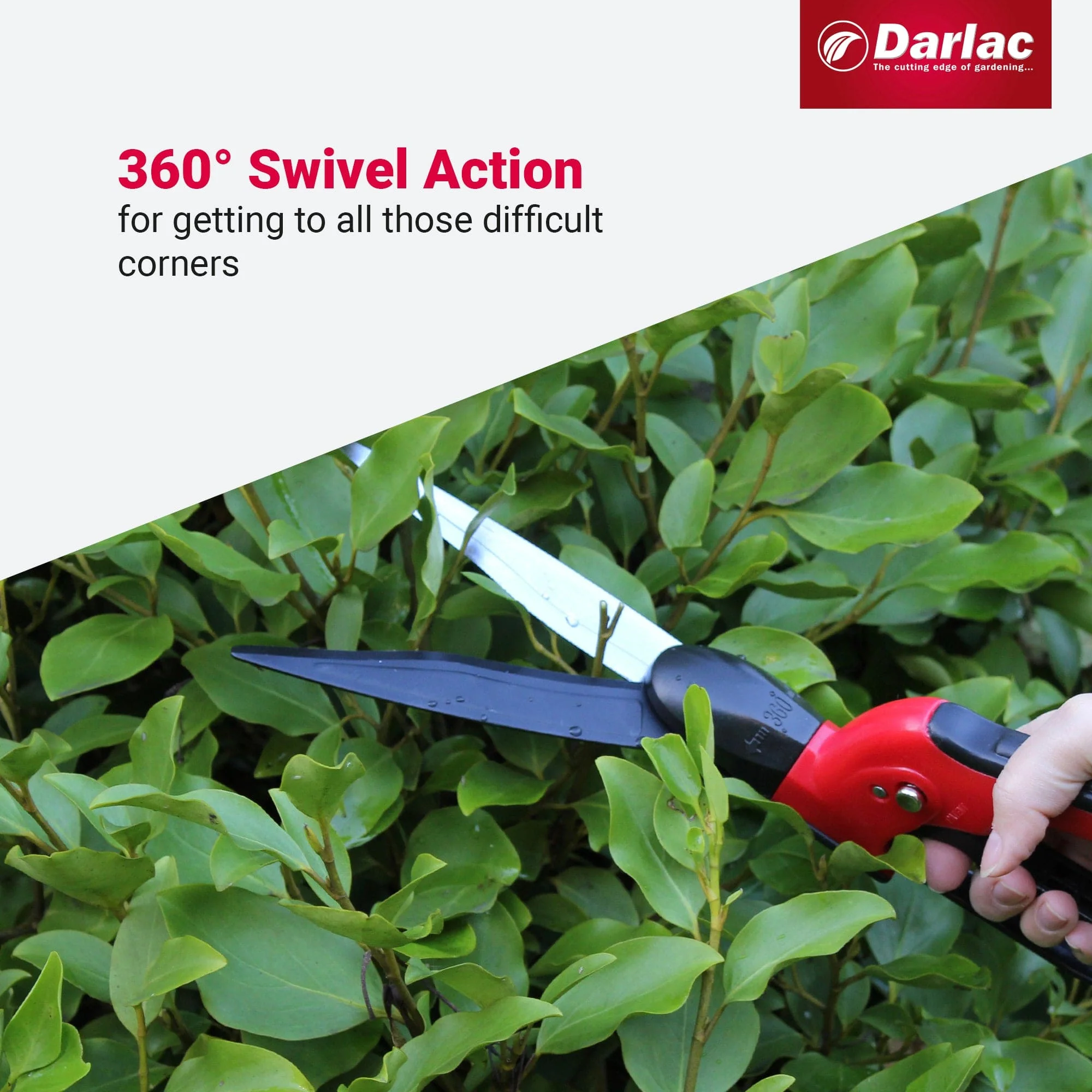 Darlac Swivel Shear - Image 4