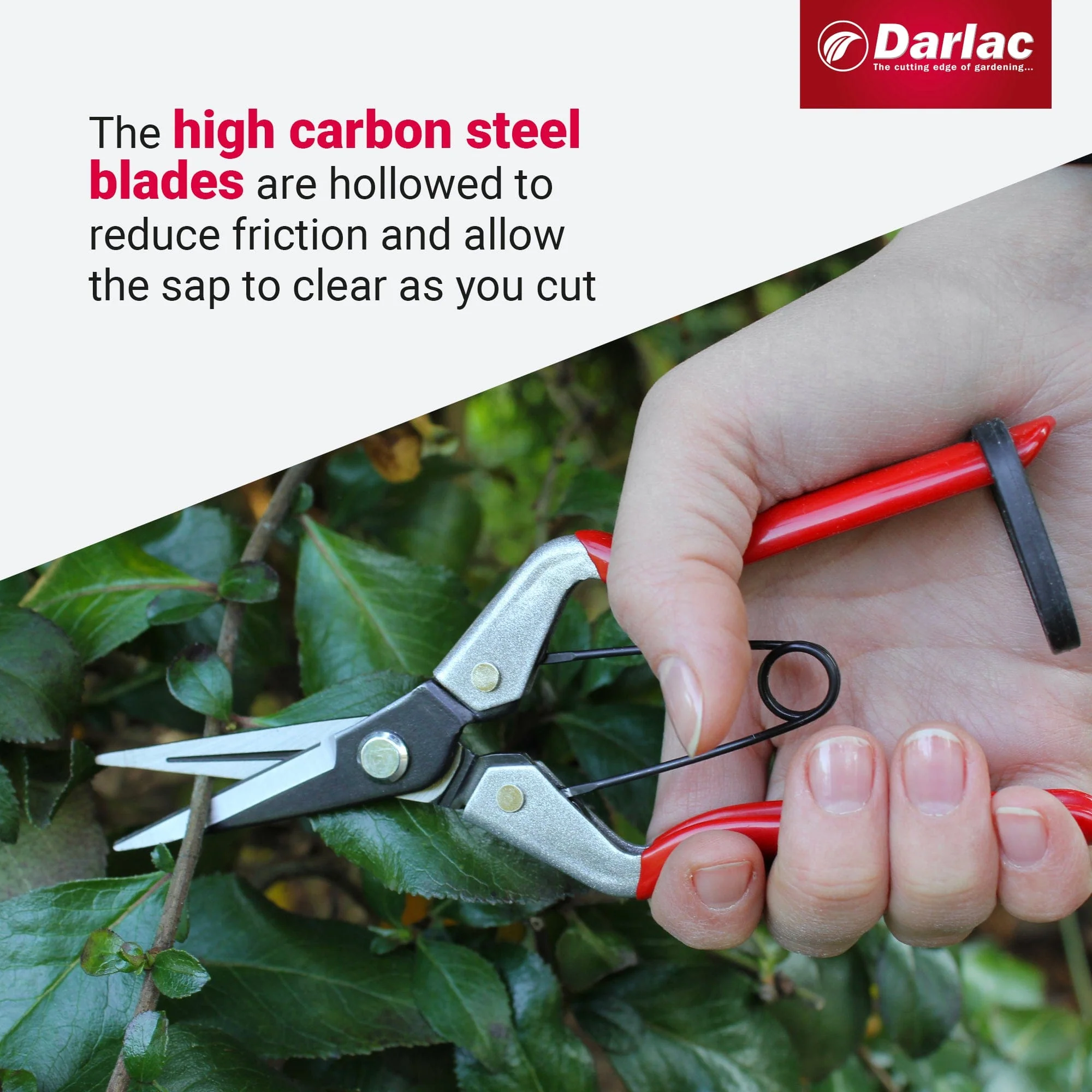 Darlac Vine Scissors - Image 4