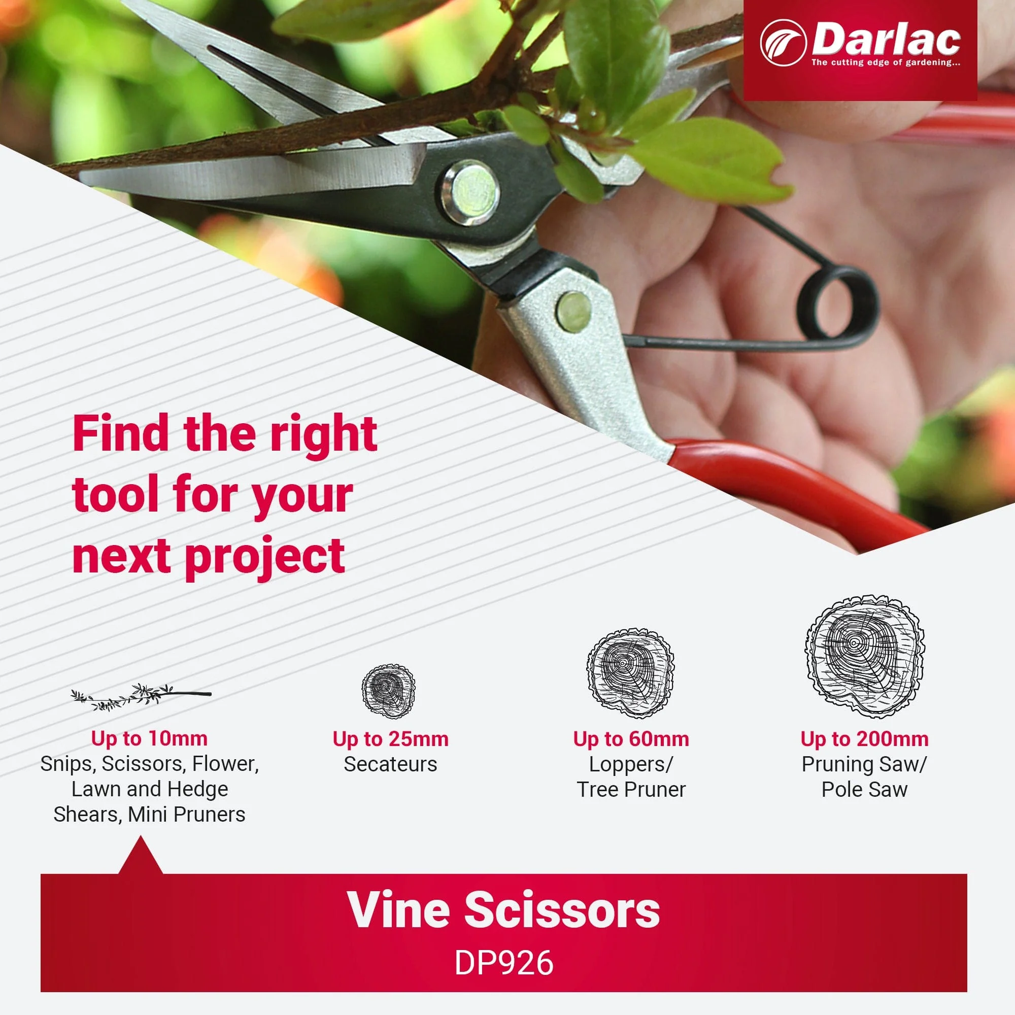 Darlac Vine Scissors - Image 6