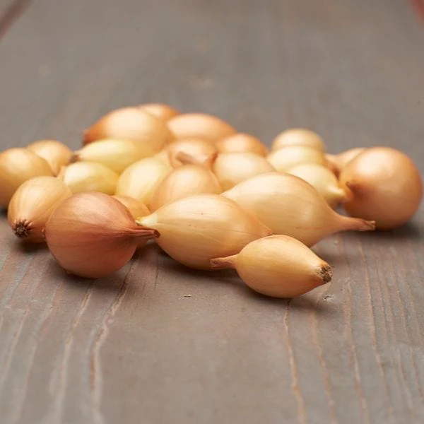 Spring Planting Onion Set Collection - Image 3