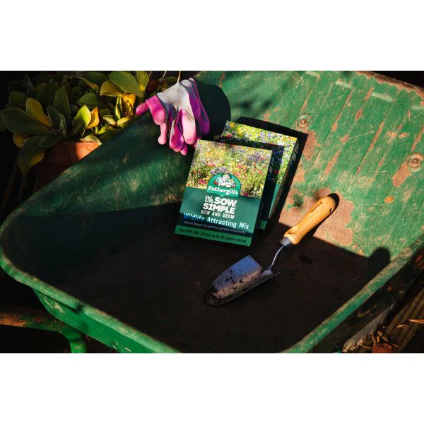 Wildlife Attracting Flower Seed Mix - Image 3